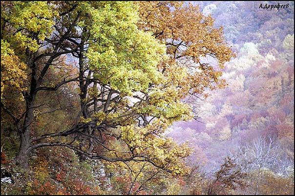 photo "East motive." tags: landscape, autumn