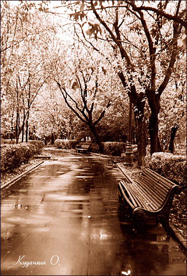 photo "After a rain" tags: landscape, spring