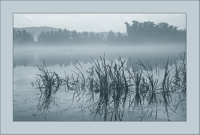 photo "Evening fog in center of my city" tags: landscape, summer, water