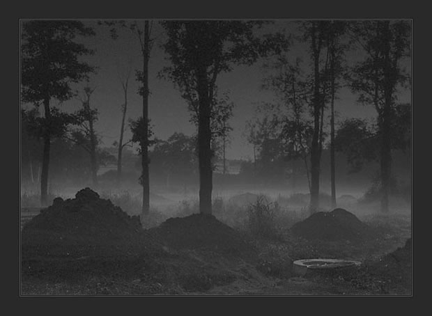 photo "Night Fog In The Garden" tags: landscape, night