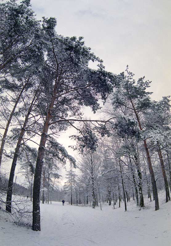 фото "*" метки: природа, 