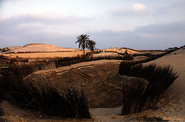 photo "Survival # 2" tags: travel, landscape, Africa