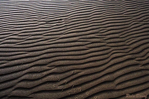 photo "Sand Ripples" tags: abstract, 