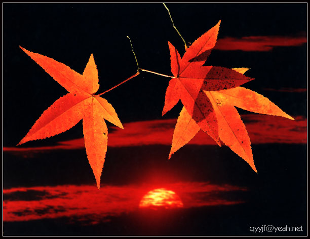 photo "autumn" tags: landscape, autumn, sunset
