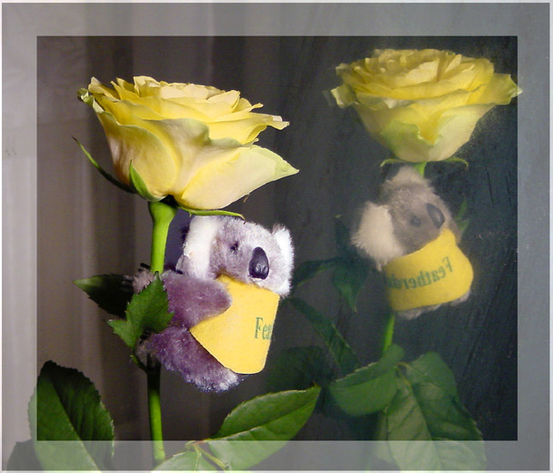 фото "Цветочный верхолазик" метки: природа, юмор, цветы