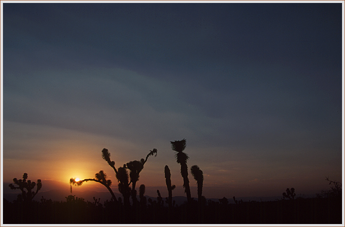 photo "Sunset in the semidesert" tags: landscape, travel, South America, sunset