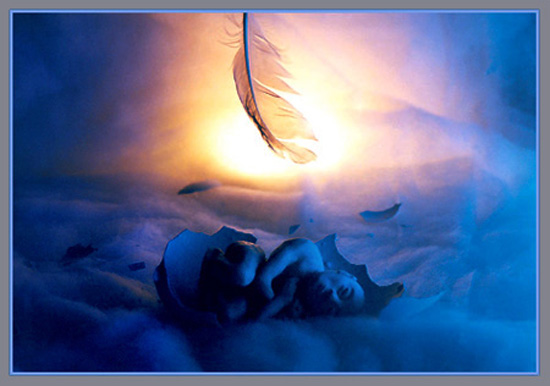 photo "serie Liberation (Flight of spirit)" tags: misc., 