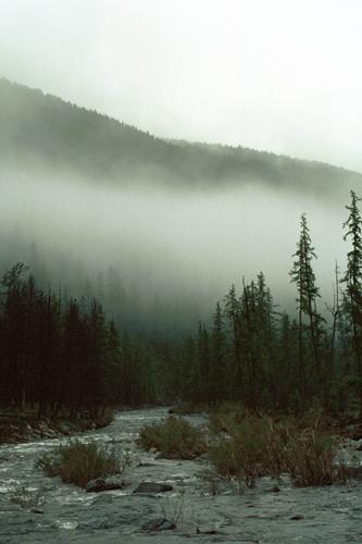 photo "Morning" tags: landscape, forest, mountains