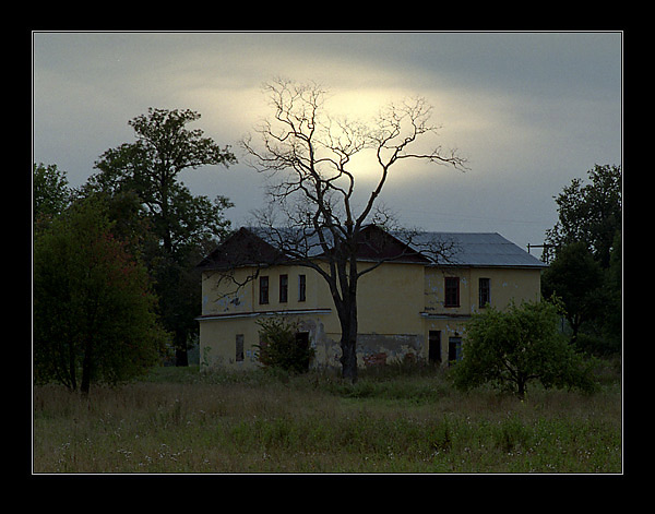 фото "дом и дерево" метки: пейзаж, осень