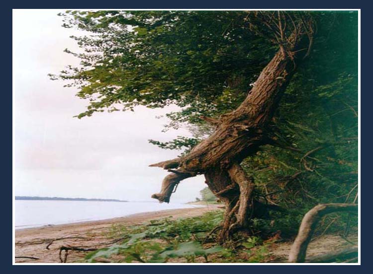 photo "Untitled photo" tags: nature, landscape, 
