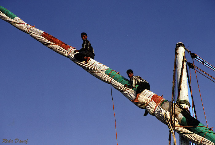 photo "Climbing to the top" tags: portrait, children