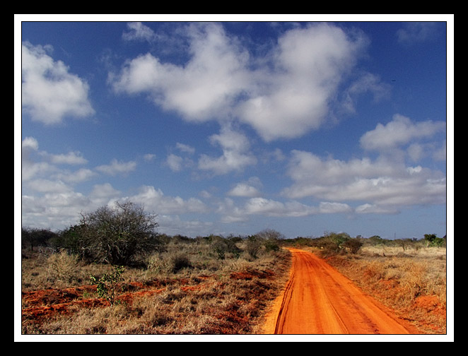 фото "Yellow Brick Road, the African Way" метки: путешествия, пейзаж, Африка, облака