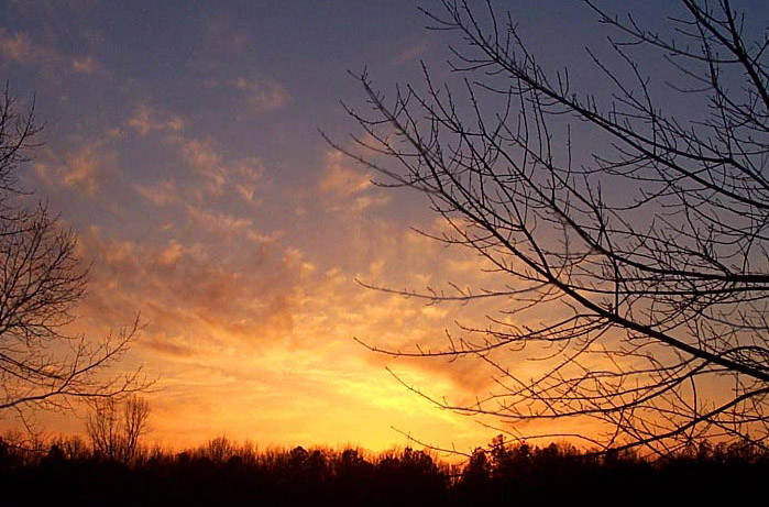 photo "Sun Catchers" tags: landscape, sunset