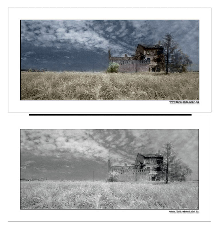 photo "Handcoloured Landscape" tags: landscape, 