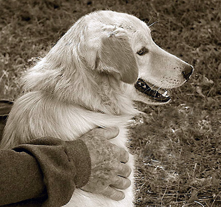 photo "Companionship" tags: nature, pets/farm animals