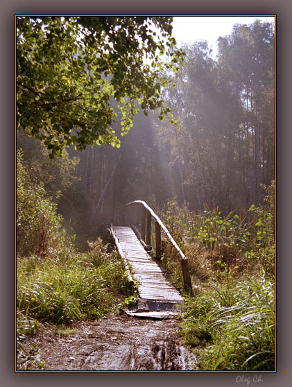photo "A little bridge to the forest" tags: landscape, forest