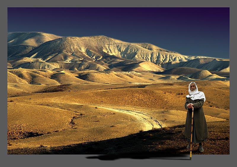 photo "The Potentate to deserts." tags: nature, 