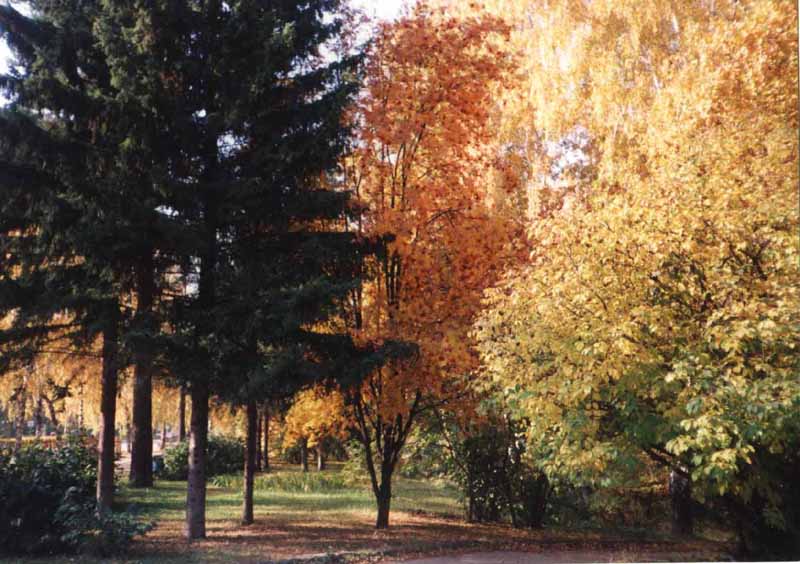 фото "threee Times Of Autumn" метки: пейзаж, разное, осень
