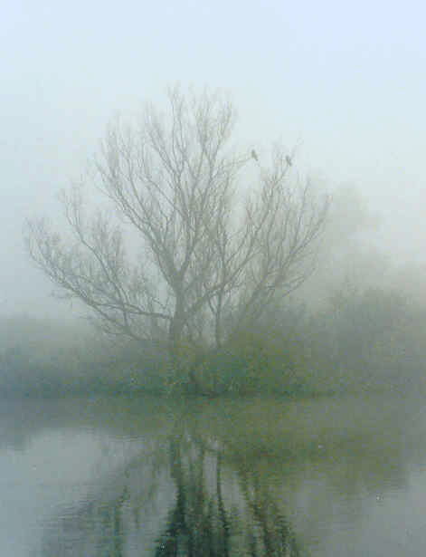 фото "A misty morning" метки: пейзаж, закат