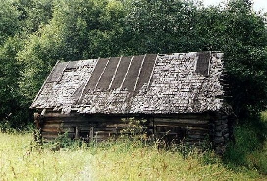 photo "Somewhere in the forest in Russia" tags: landscape, forest, summer