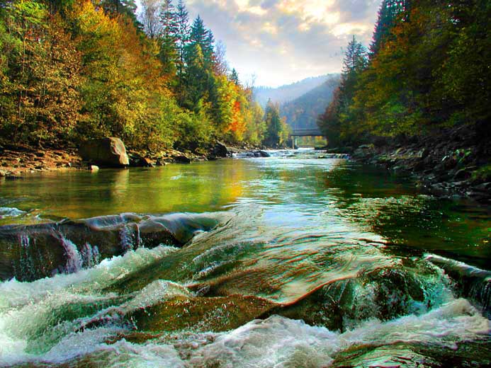 фото "Series "Gold of Carpathian mountains" - Yaremcha" метки: путешествия, пейзаж, Европа, осень