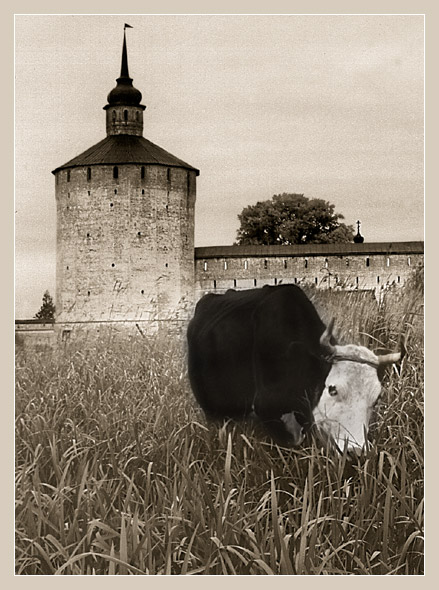photo "Landscape with cow" tags: travel, 