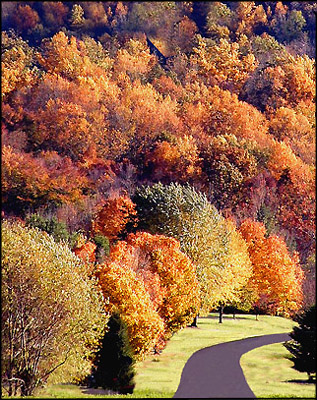 фото "Autumn Lane...." метки: пейзаж, осень