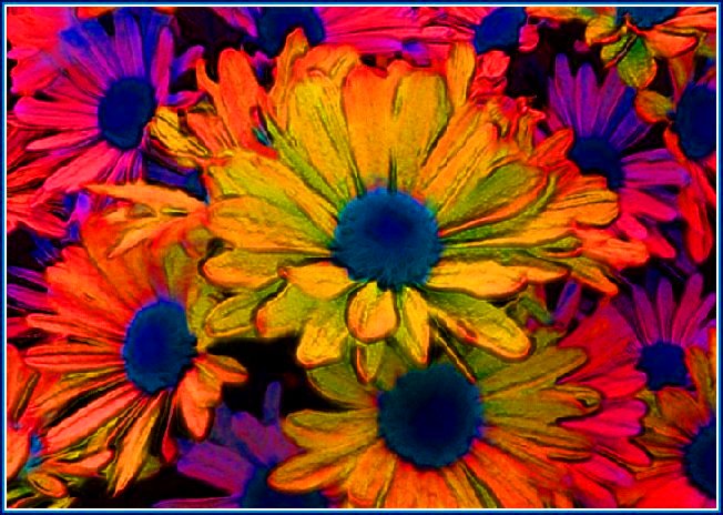 фото "Flowers from Zurbagan 3" метки: природа, фотомонтаж, цветы