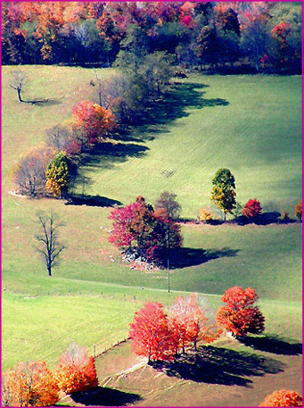 фото "Autumn Patchwork...." метки: пейзаж, осень