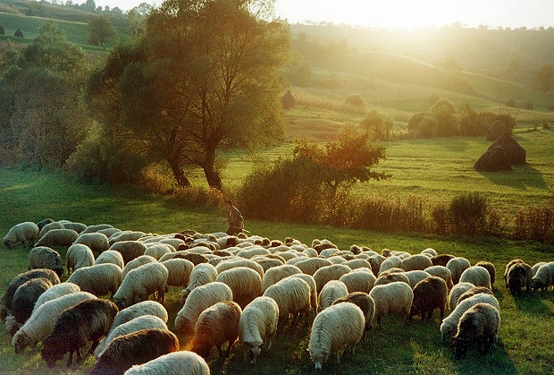 photo "A moment of harmony" tags: landscape, travel, Europe, summer