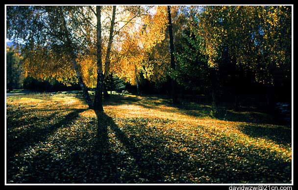 photo "The fall" tags: travel, landscape, Asia, autumn