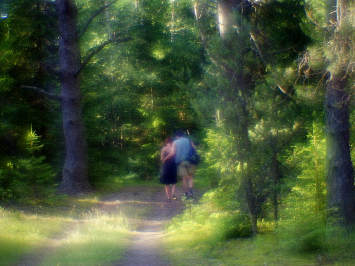 photo "People in forest" tags: landscape, genre, forest