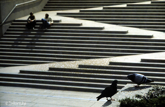 photo "`Let`s Talk`" tags: humor, architecture, landscape, 