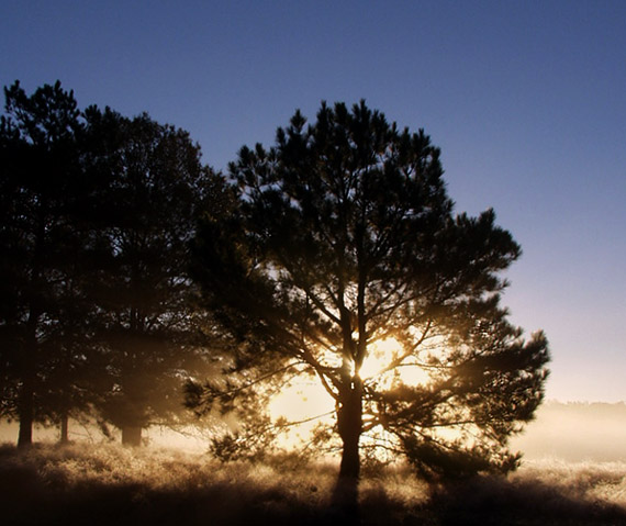 photo "Autumn Fog 2" tags: landscape, autumn, sunset