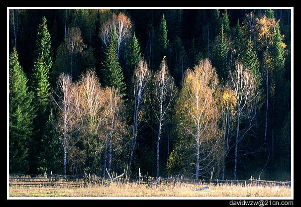 photo "Autumn" tags: travel, landscape, Asia, autumn