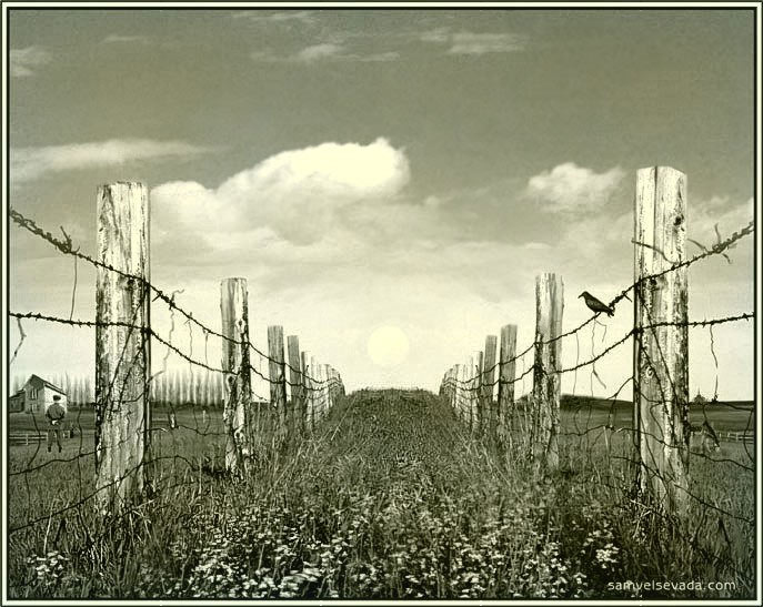 photo "NEUTRAL ZONE" tags: landscape, 
