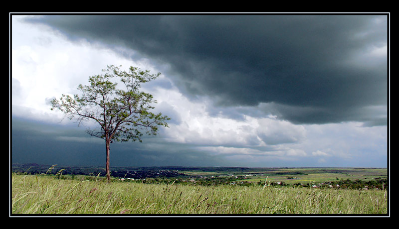 photo "The waiting of storm" tags: landscape, summer