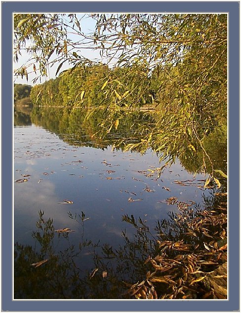 photo "Once upon a time at a lake in the morning.6" tags: landscape, autumn, water