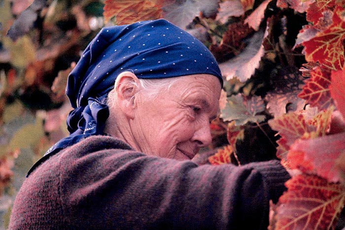 photo "In The Vinyard" tags: travel, portrait, Europe, woman