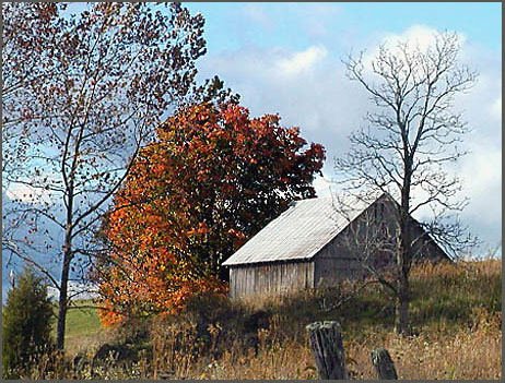 photo "Barnscape....repost" tags: landscape, autumn