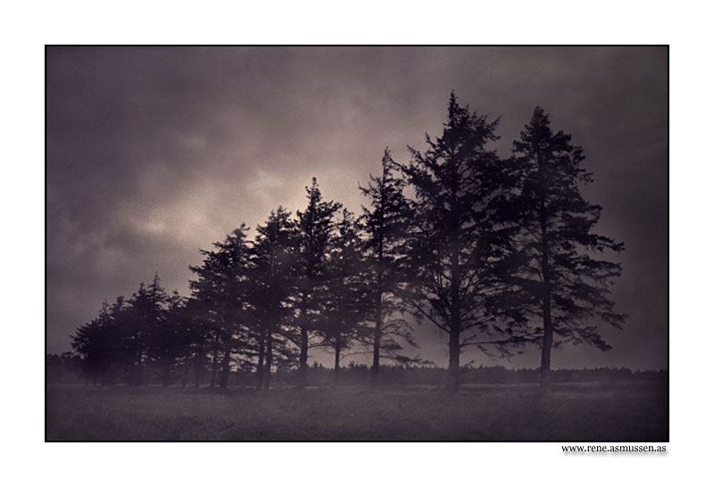 фото "Dawn" метки: пейзаж, лес