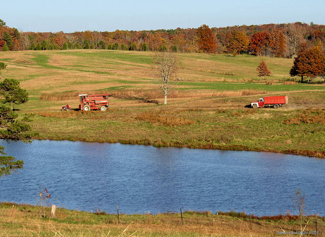 фото "Harvest Time" метки: пейзаж, вода, осень