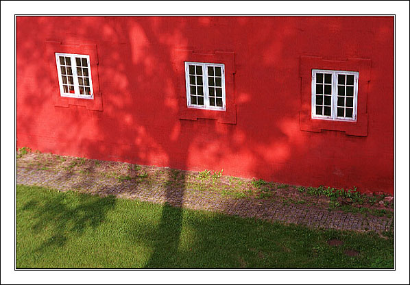 photo "White windows, shadows of trees" tags: architecture, abstract, landscape, 