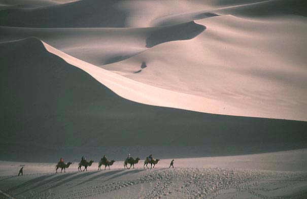 photo "Camels in the Taklamakan Desert" tags: travel, landscape, Asia