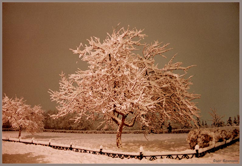 photo "Sleep in winter night" tags: landscape, night, winter