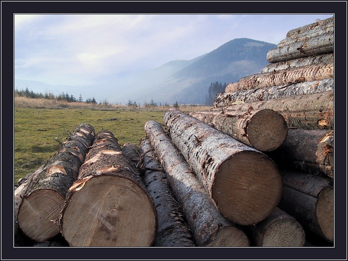 photo "Logs" tags: landscape, autumn, mountains