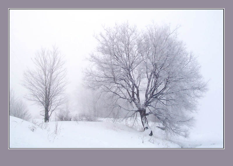 photo "The Last Winter" tags: landscape, winter