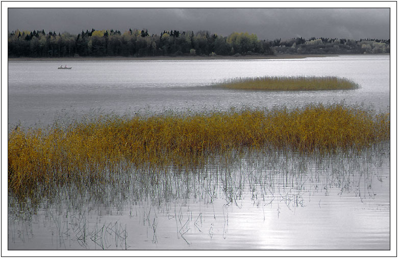 photo "Cane" tags: landscape, autumn, water