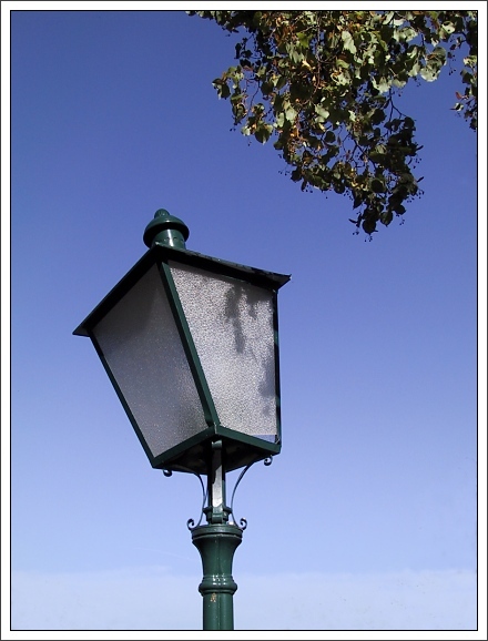 photo "A Lantern and a Tree" tags: humor, abstract, 