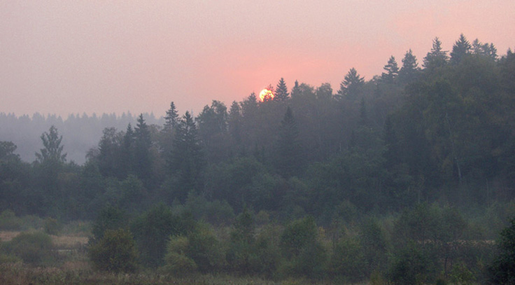 photo "Silence above a wood" tags: nature, 